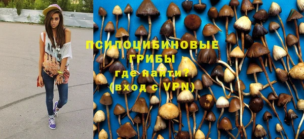 стаф Алексин