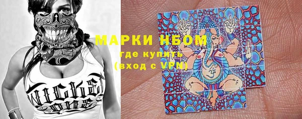 стаф Алексин
