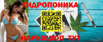 ПСИЛОЦИБИНОВЫЕ ГРИБЫ Обь