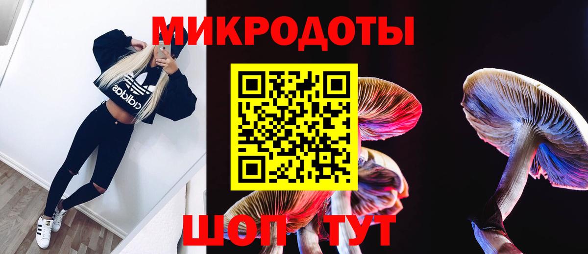 Тобольск  Псилоцибиновые грибы Psilocybe  Вход с VPN 